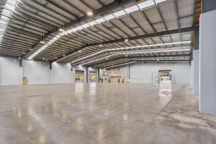 11 Jipcho Road Wigram_11