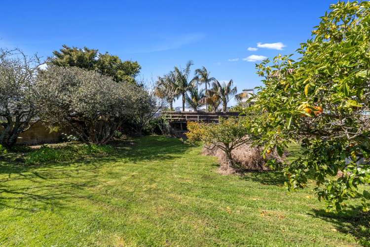 26 Merani Street Narrow Neck_8