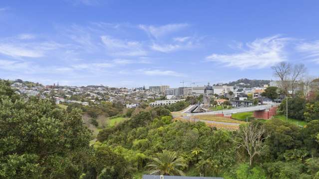 19a Ayr Street Parnell_3