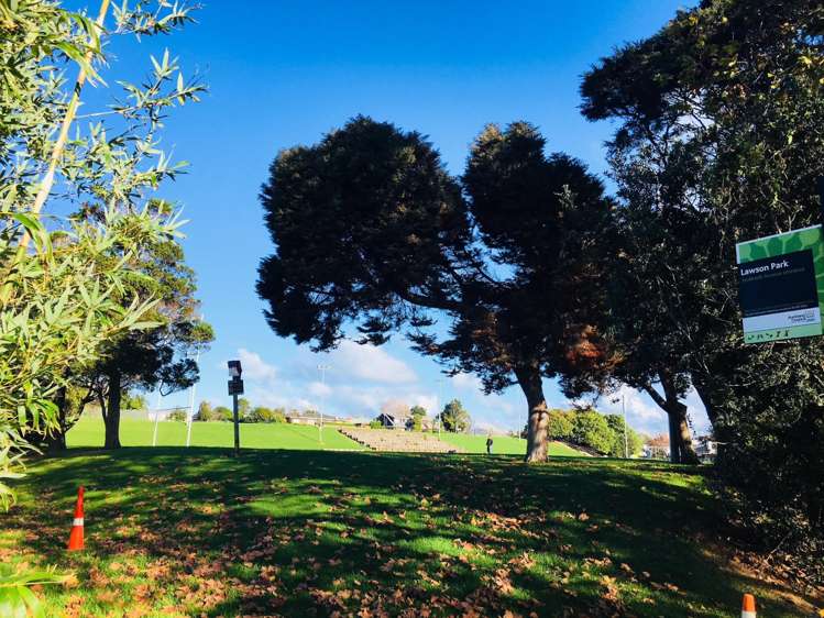 3/52 Seabrook Avenue New Lynn_23