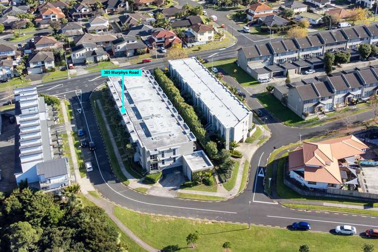 385 Murphys Road Flat Bush_13