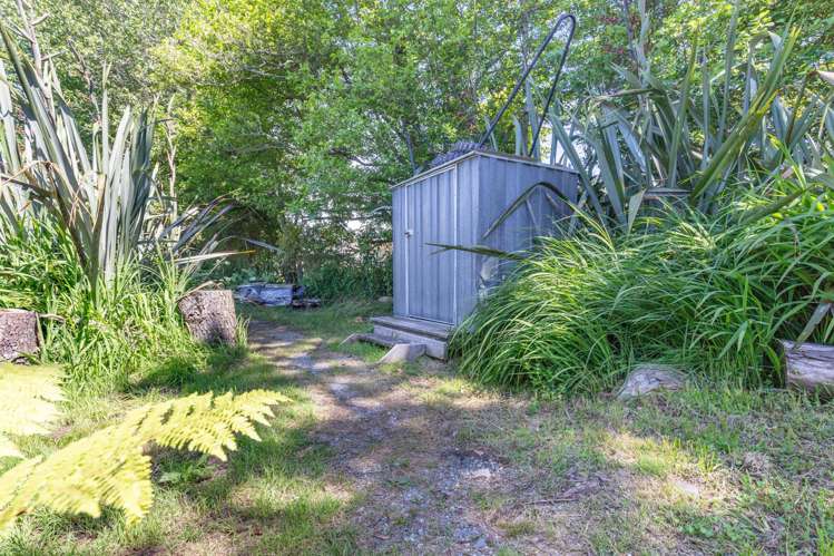 Pandora Avenue Camerons_16