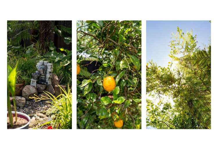 17B Snowden Street Ohauiti_24