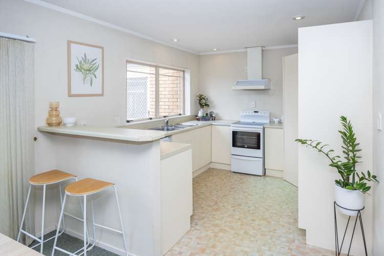 32b Brooklyn Road Claudelands_5