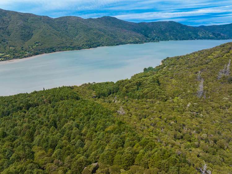 Kenepuru Head Marlborough Sounds_6