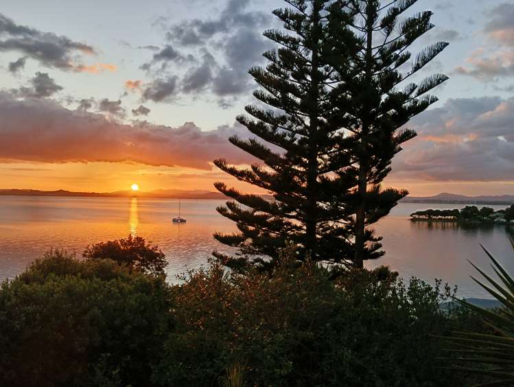 58 Manganese Point Road Tamaterau_13