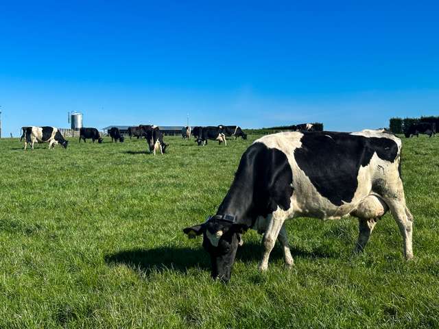 793 Edendale Woodlands Highway Winton Surrounds_1