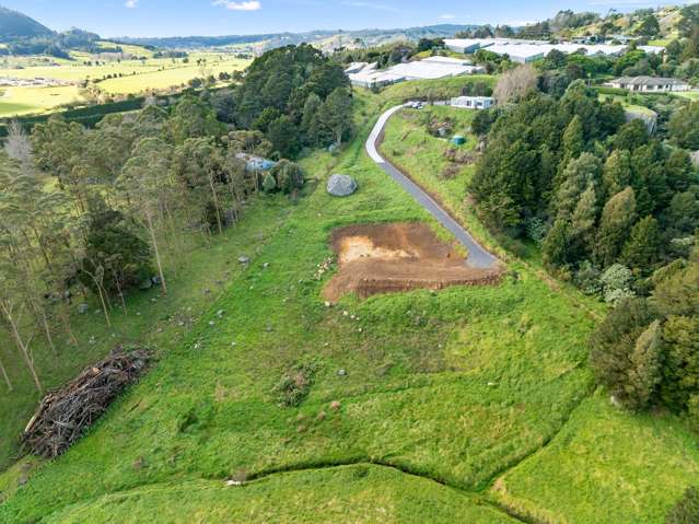 Lot 2, 12 Apotu Park Lane Kauri_3