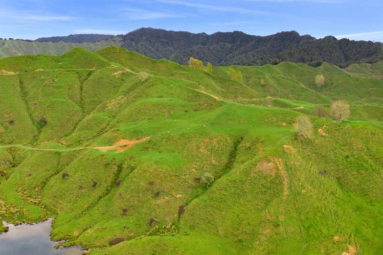 486 Ngatarawa Road Mahoenui_23