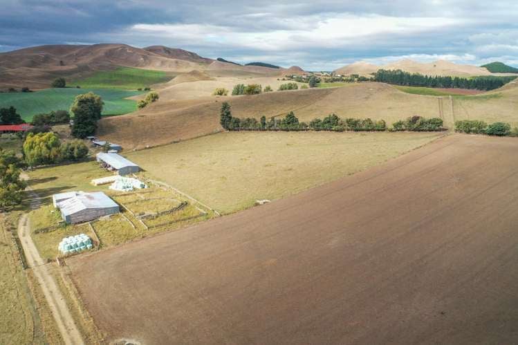 518 Elephant Hill Road Waimate_12