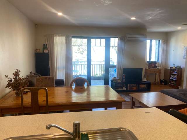 136 Aro Street Aro Valley_2