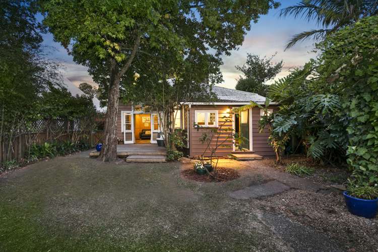 58 Elgin Street Grey Lynn_13