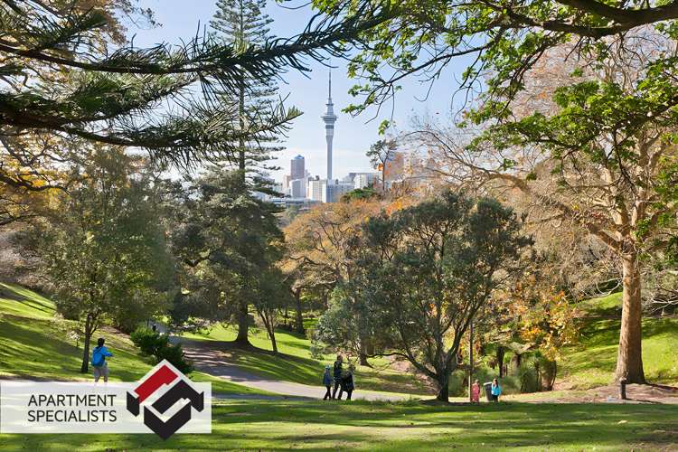 39 Mackelvie Street Grey Lynn_20