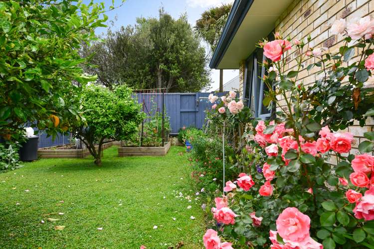 10 Arlington Court Rototuna North_12