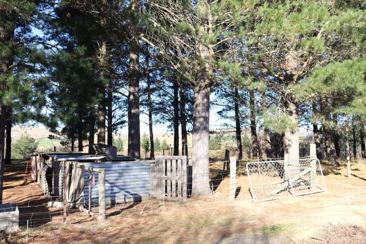 49/53 Special School Road Otekaieke_31