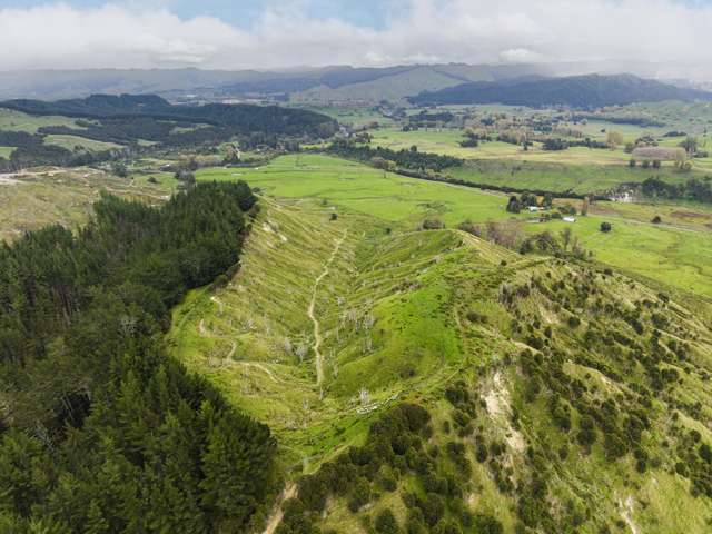 232 Kotare Road Ruakituri_4