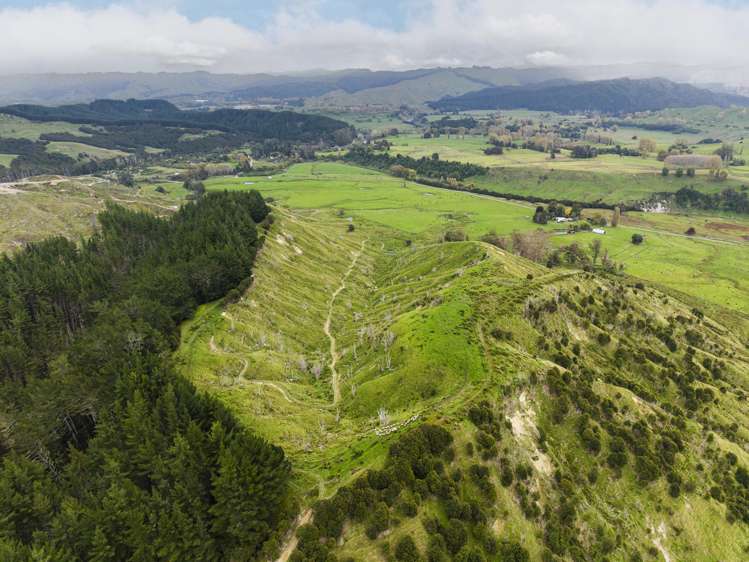 232 Kotare Road Ruakituri_4