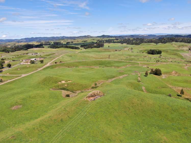 537 Tapuwae Road Benneydale_7