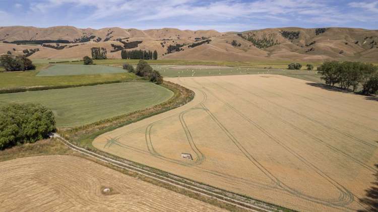 1231 Longbush Road Carterton_12