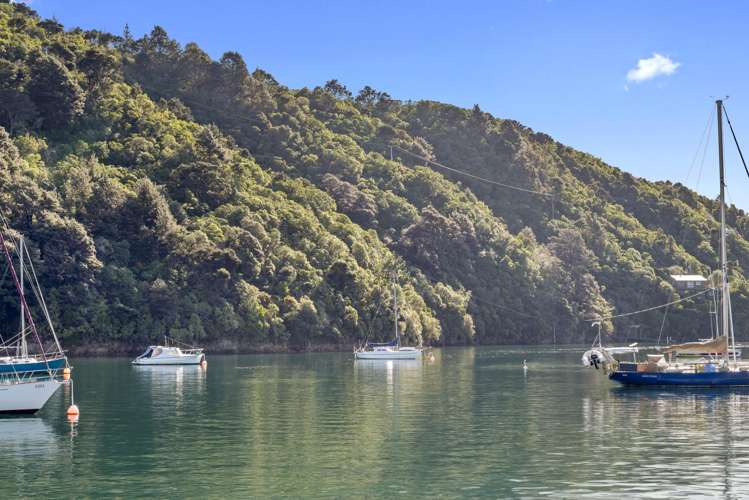 The Snout Waikawa Bay Picton_6