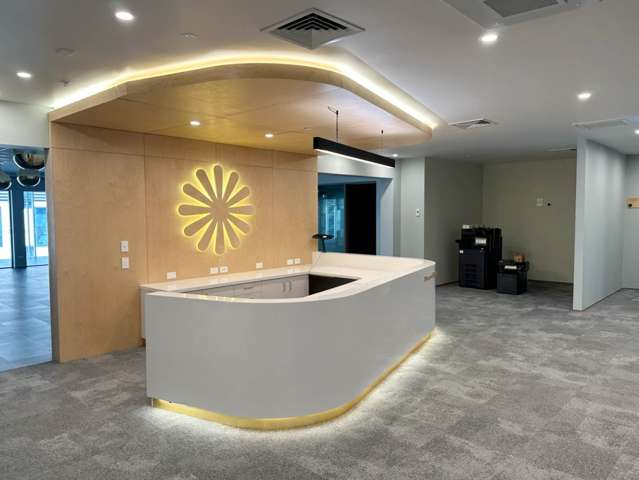 12-14 Nicholls Lane Parnell_2