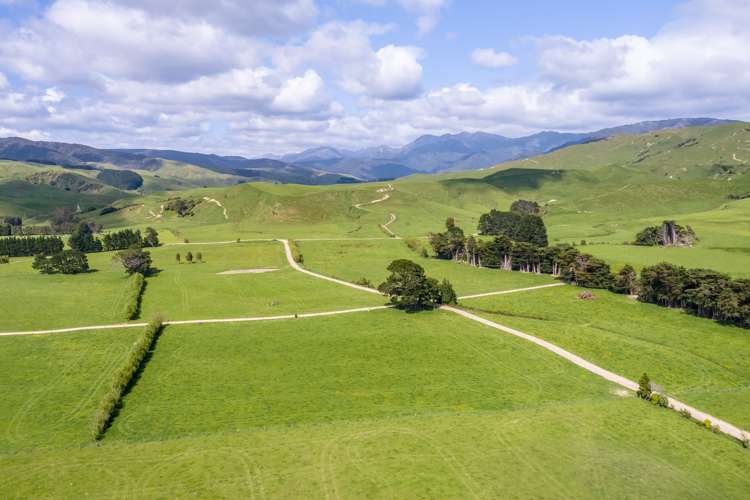 125 Larsen Road Eketahuna_19