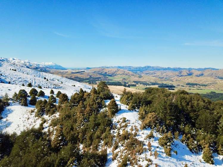 100 Mount Lyford Forest Drive Lyford_11