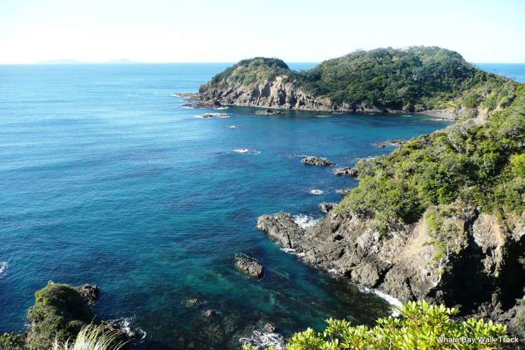 Lot 1&7 Clements Road Matapouri_19