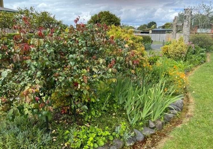 92 Reservoir Street Putaruru_18