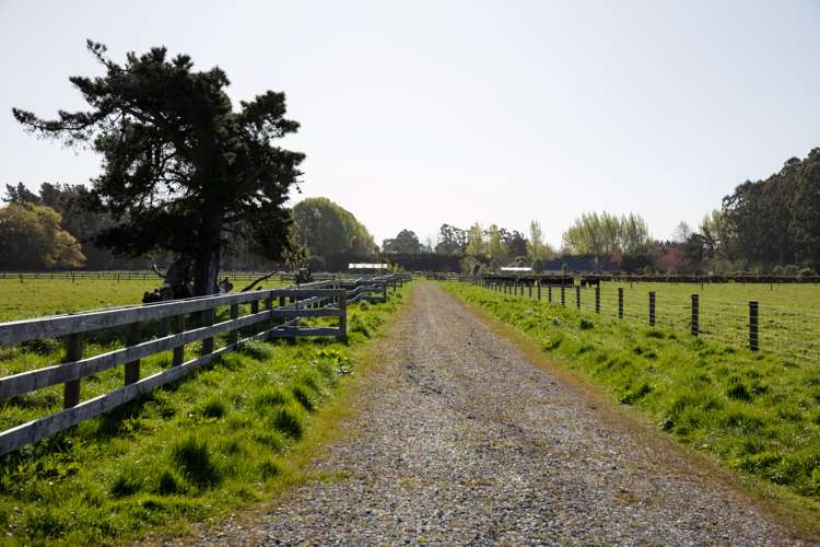 105 Jacksons Road Ohoka_9