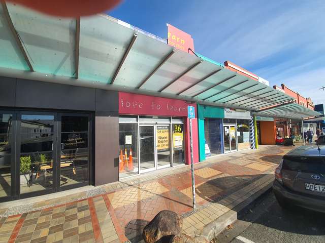 38 Edinburgh Street Pukekohe_1