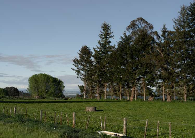 Lot 2 Cnr of Deep Creek Road and Rakau Road Reporoa_2