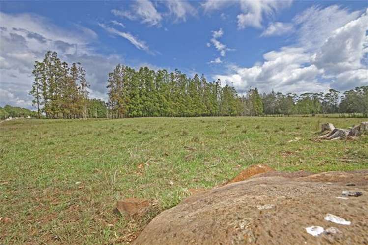 104 Wiroa Road Kerikeri_6