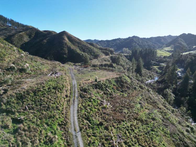Cnr Whanganui River Road and Otunui South Road Taumarunui_7