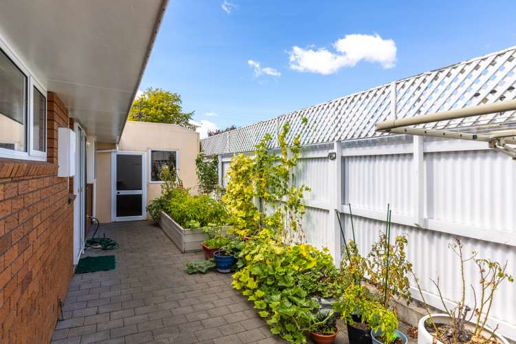 3a Andrew Street Blenheim Central_17
