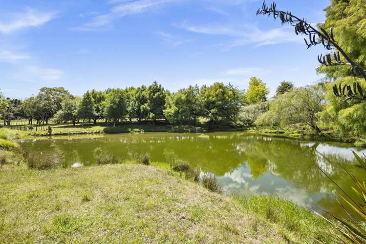 134 Logan Road Buckland_16