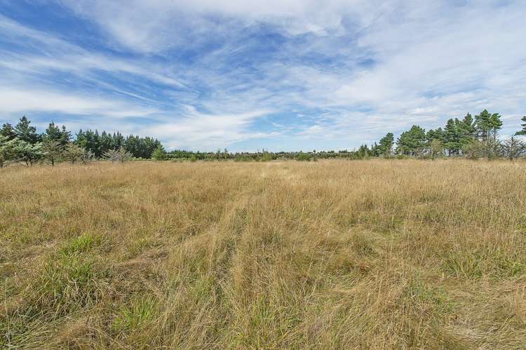 2181e South Eyre Road West Eyreton_7