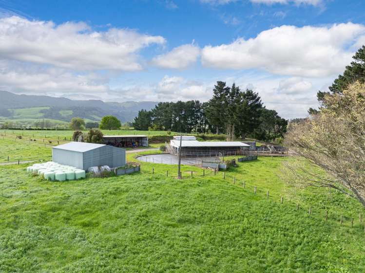 334 Okauia Springs Road Okauia_6