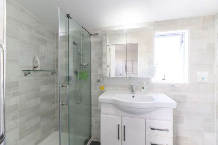 56 Freeland Avenue Mount Roskill_17