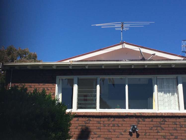 51 Kiwi Road Point Chevalier_11