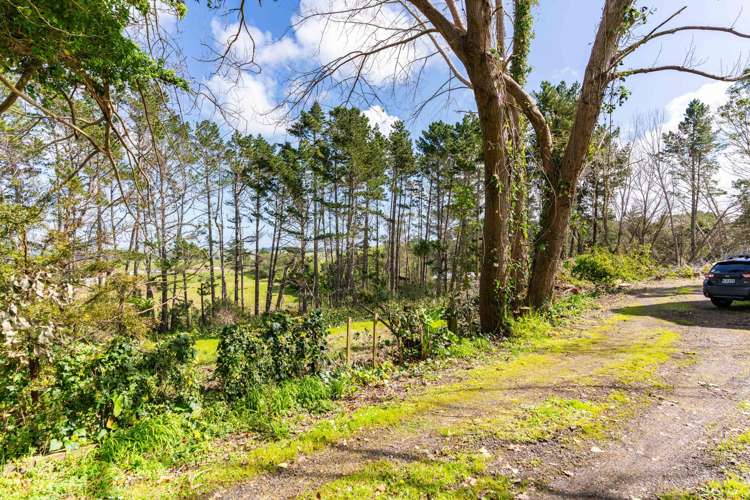 5A Pirika Street Dargaville_44