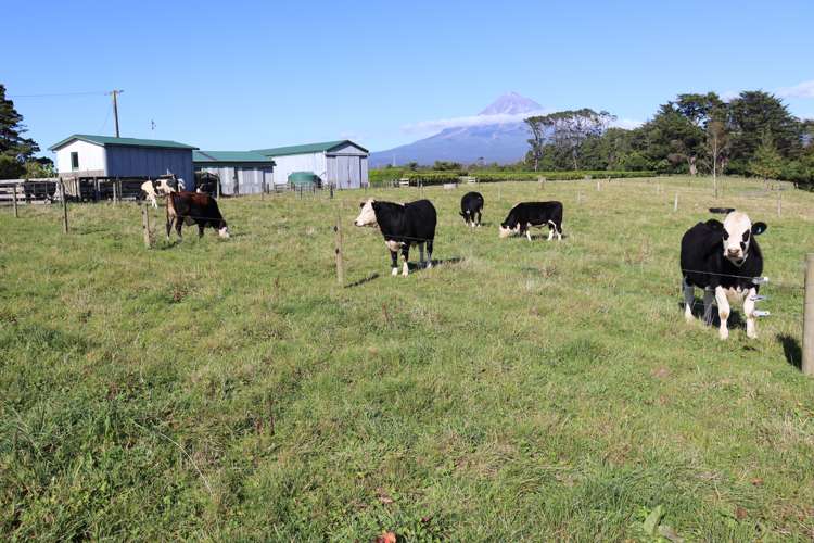 174 Bedford Road North Inglewood_1