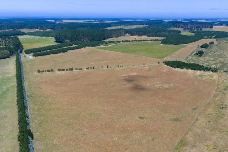 590 Brandon Hall Road Bulls_10