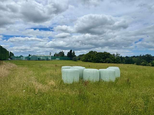 30C State Highway 2 Aongatete_1