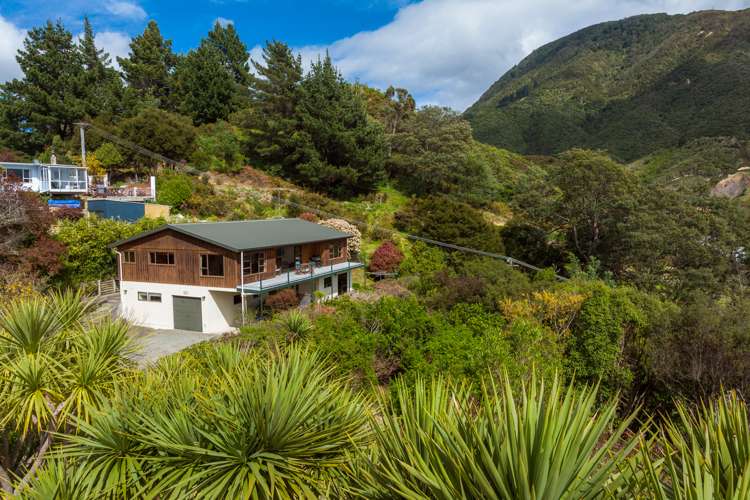 27c Dorset Street Picton_15