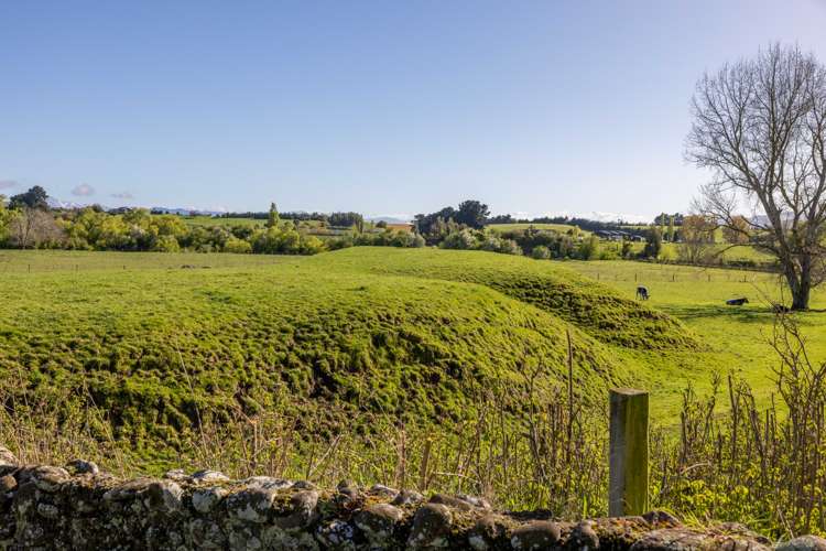 158 Munro Road Cheviot_20