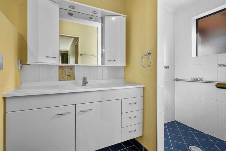 16b Croydon Street Sydenham_13