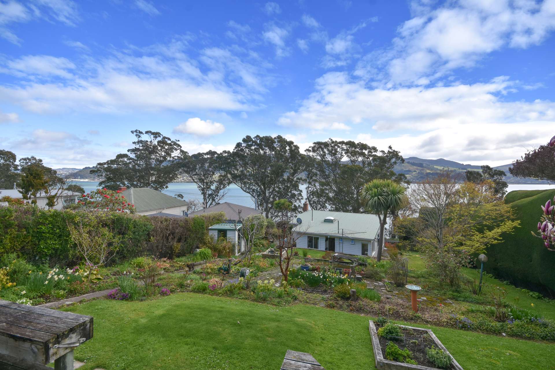 30 Marine Parade Macandrew Bay_0