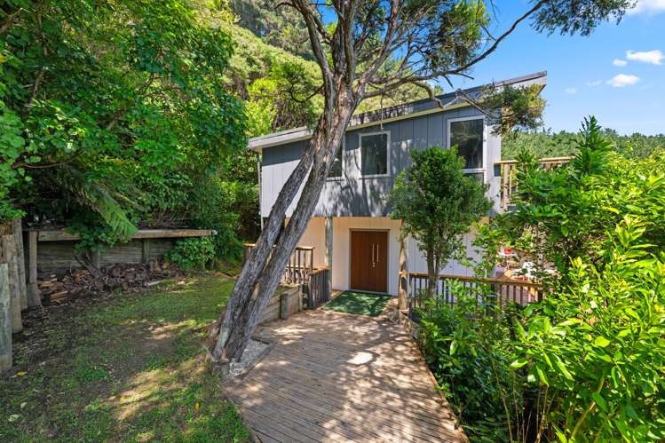 Burneys Beach Arapaoa Island_6