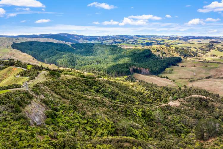 808 Kaipara Hills Road Warkworth_14